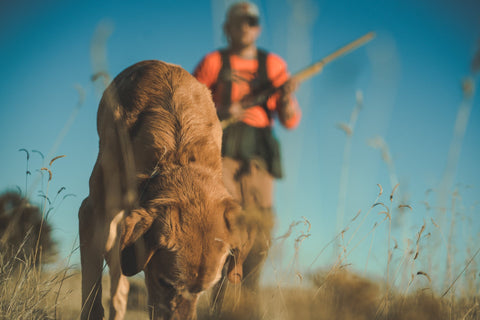 Better Than Pictures and Posts - By Scott Linden - SAGE & BRAKER
