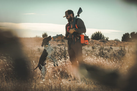 Shoot Better – Pay Attention to Your Dog - SAGE & BRAKER