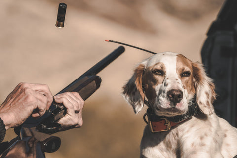 Shotgun Shell Sizes - SAGE & BRAKER