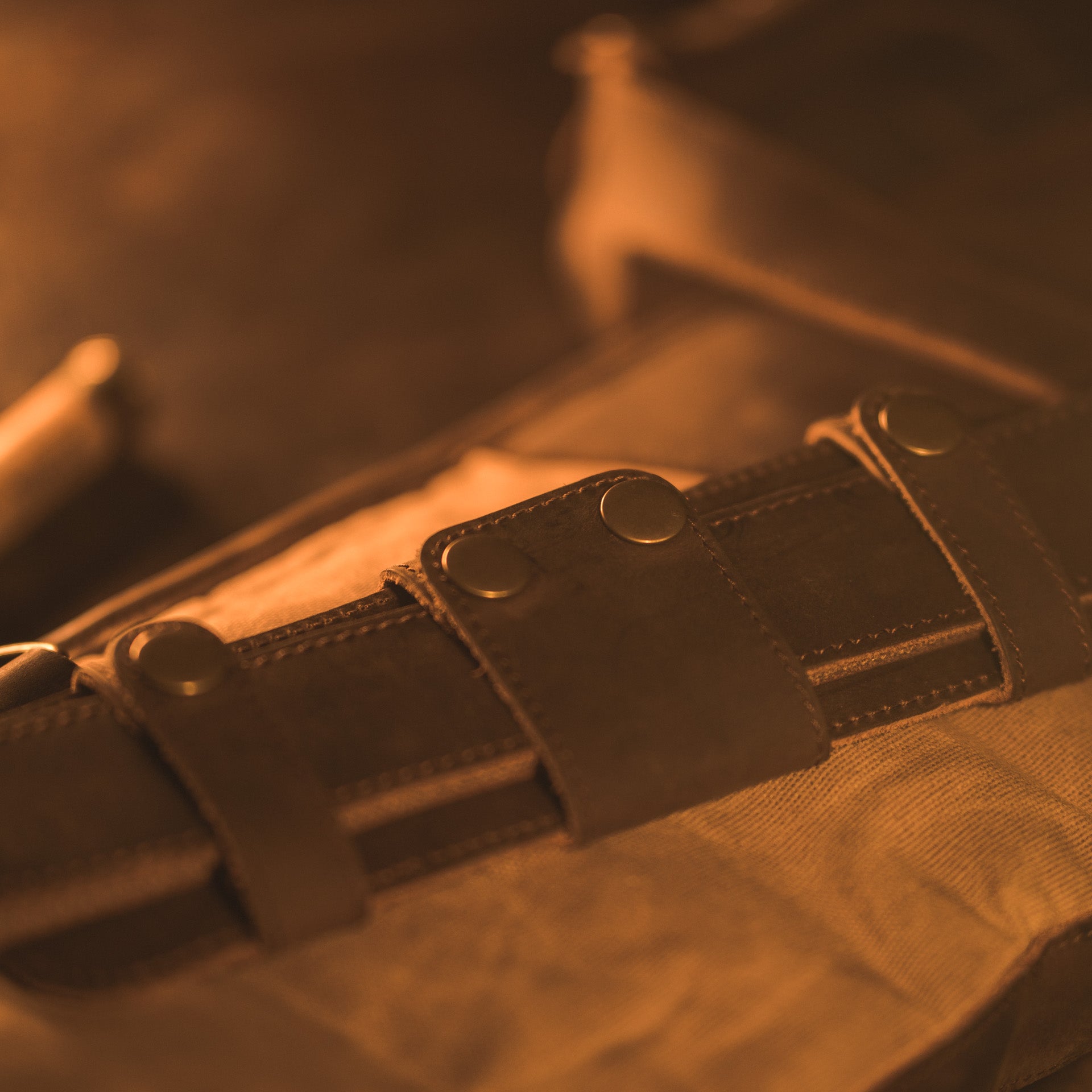 leather gun case