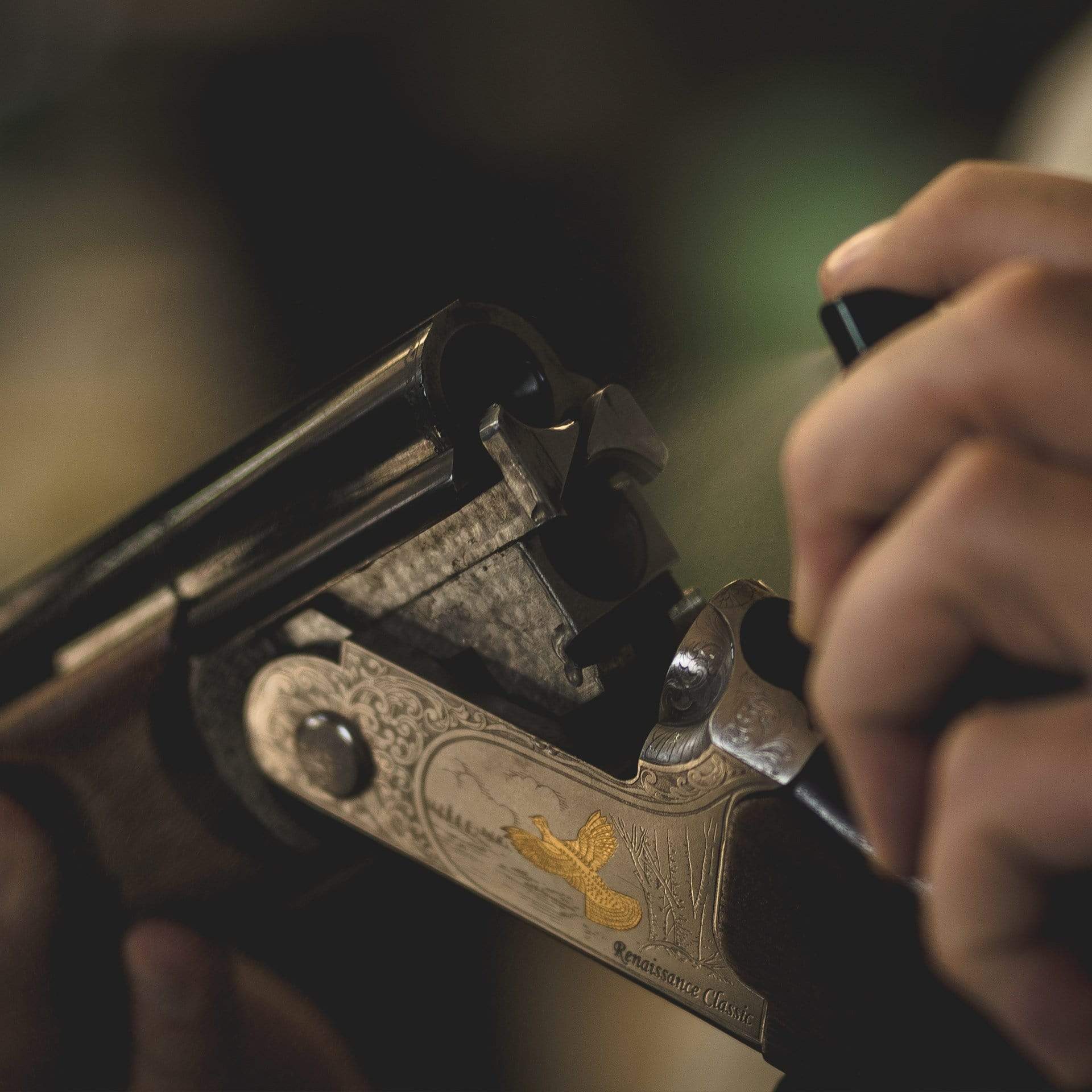 Gun Oil and gun solvent cleaner