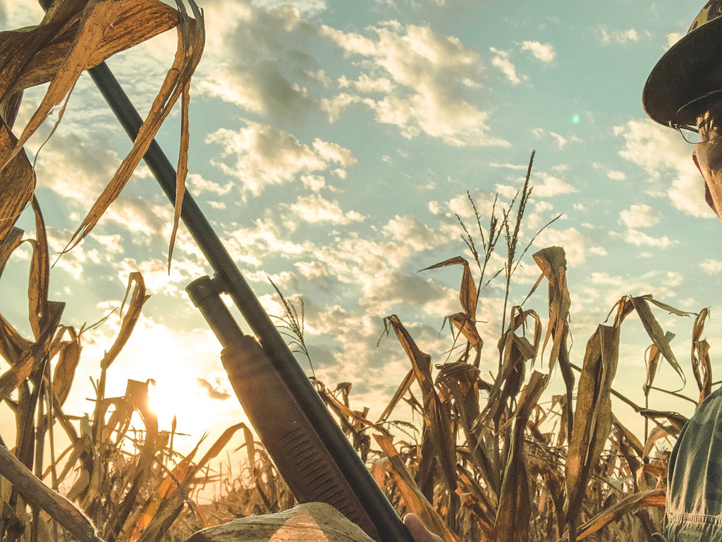 Dove Hunting with a Department Store Shotgun