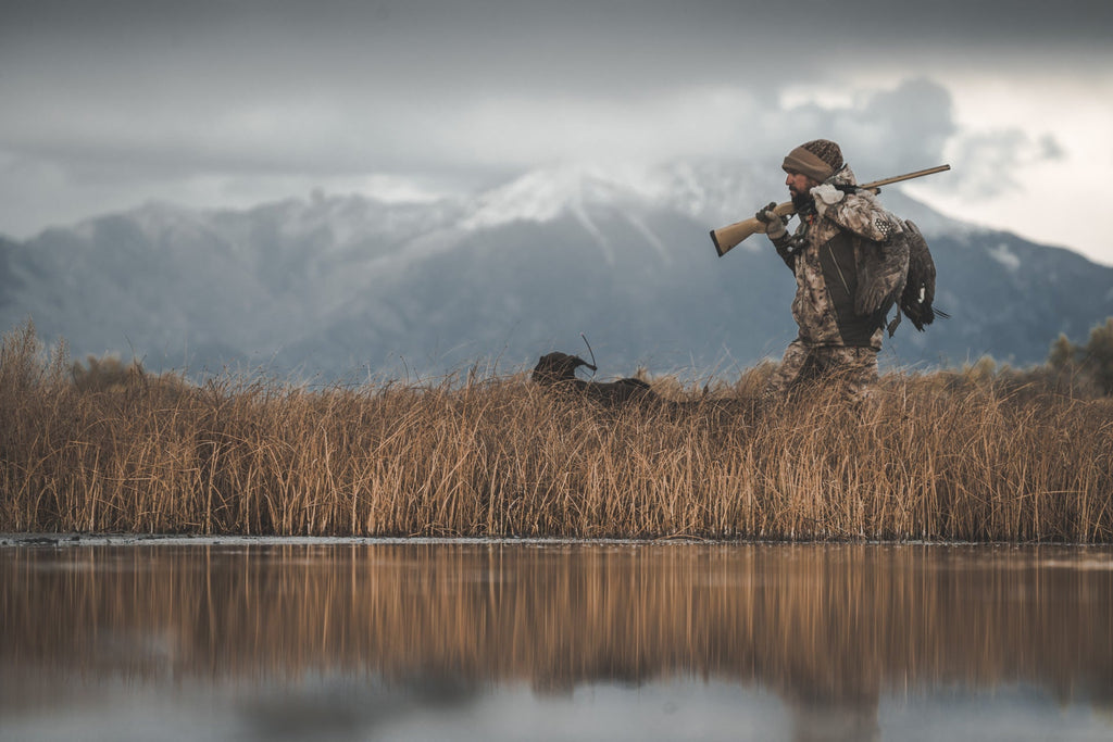 Shotgun Shot Size & Ballistics Guide