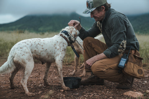 Field bag designed for bird-dog training and upland hunting