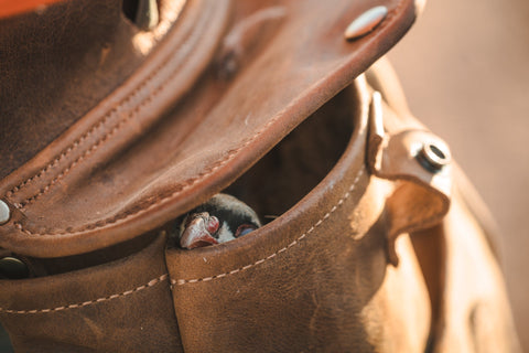 Upland Field Bag - SAGE & BRAKER