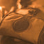 GUN CASE // UNSCOPED - SAGE & BRAKER
